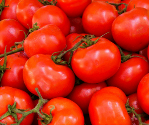 Tomato